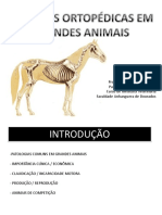 Afecciones Ortopedica en Grandes Animales PDF