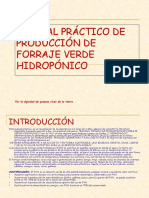 FVH Manual Practico