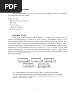 8 - Axul Pistonului (Boltul)