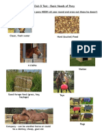 Pony Club D Test - Basic Needs of Pony