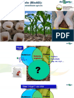 Palestra Bioanalise de Solo Prof Ieda Mendes 2019