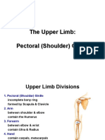 ANATOMY: The Shoulder Girdle Shoulder Spaces Axilla The Arm