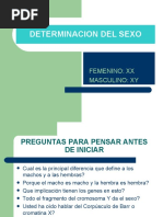 Determinacion Del Sexo.1