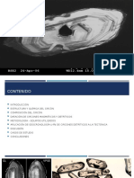 Datacion Con Circones Presentación