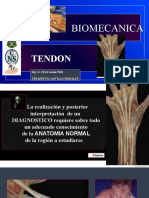 Biomecanica Del Tendon - 1