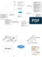 Mapa Mental y Conceptual