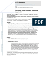 HHS Public Access: Autophagy in Diabetic Kidney Disease: Regulation, Pathological Role and Therapeutic Potential