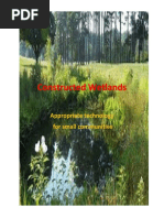 Constructed Wetlands