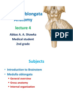 Medulla Oblongata Anatomy: Abbas A. A. Shawka Medical Student 2nd Grade