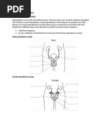 Reproduction and Variation Lesson 1 Sexual Reproduction