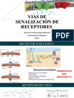 Vías de Señalización de Receptores