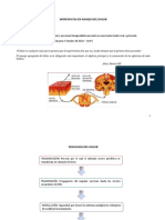 Homeopatia en Manejo Del Dolor PDF