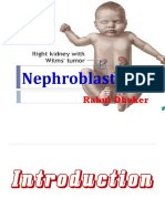 Nephroblastoma: Rahul Dhaker