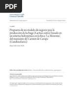 Propuesta de Un Modelo de Negocio para La Producción de Lechuga PDF