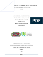 Guia de Procedimientos y Actividades de La Cra Ucc PDF