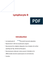 C04 Lymphocyte B2088248729