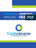 Determinantes de La Supervivencia Empresarial en Colombia