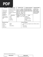 Matriz y Canvas