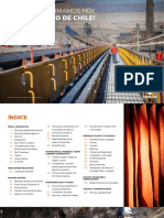 Memori2019 Codelco PDF