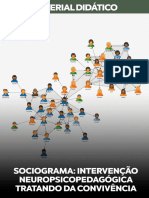 Sociograma Intervenção Neuropsicopedagógica Tratando Da Convivência em Contextos Coletivos