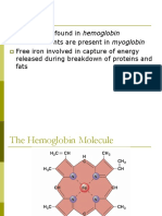 2.FST 511 - Blood Formation Micronutrient and Iron Deficiency Anaemia