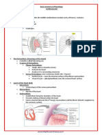 Basic Anatomy & Physiology: Cardiovascular Heart Anatomy