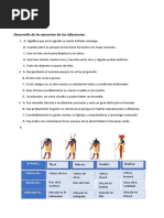 Gramatica Libro de Trabajo