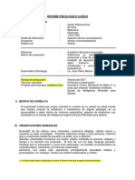 0000 Modelo-1-Informe-Psicologico-2020