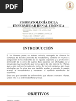 Diapositivas de Fisiopatología de La Enfermedad Renal Crónica - Final