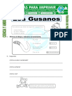 Ficha de Los Gusanos para Tercero de Primaria