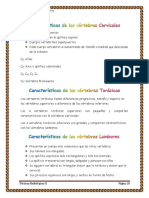 Puntos de Referencia de Columna Verterbral