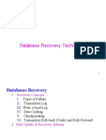 Database Recovery Techniques