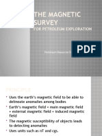 The Magnetic Survey