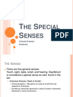 The Special Senses Powerpoint by Victoria