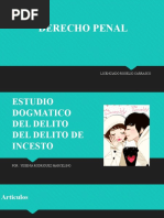 Estudio Dogmatico de Delitos