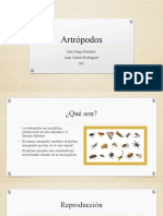 Artrópodos