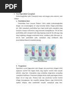 5227 - Reproduksi Cyanophyta Dan Chlorophyta