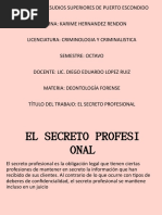 Secreto Profesional