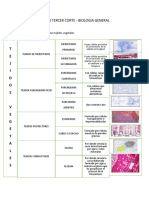 Informe Uni