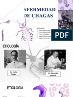 Enfermedad de Chagas Final Final