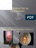 Hove Practical Questions