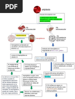 Eroptosis Intra y Extravascular PDF