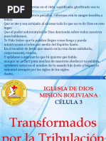 Transformados Por La Tribulación