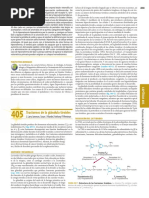 Tiroides Cap Completo PDF