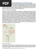 Ictericia e Hiperbilirrubinemia en El Recién Nacido