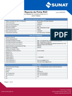 Nueva Ficha RUC PDF