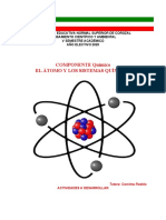 Actividades Componente Químico. (Autoguardado)