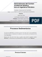 1.3-Procesos Internos y Externos de Los Sedimentos