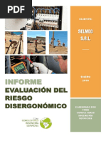 Informe Ergonomía Selmec