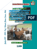 Proyecto Alpacas